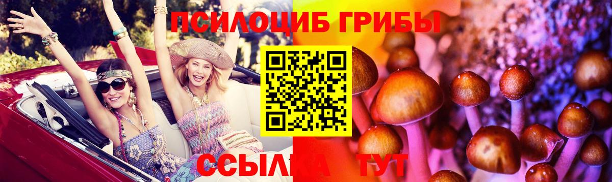 Псилоцибиновые грибы Cubensis Россошь